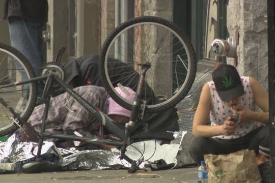 多数民调显示,新民主党在埃尔姆伍德-特兰斯科纳补选中领先