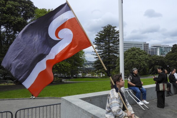 新西兰国会议员在紧张的种族关系辩论期间举行Māori抗议活动