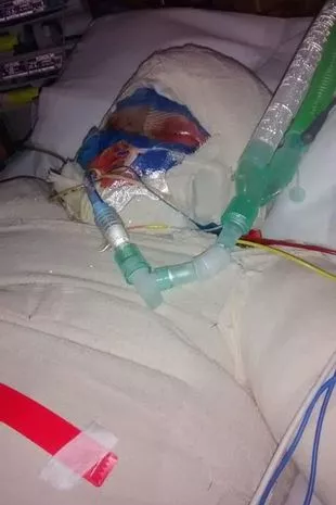 邪恶的父亲用新的火车套装引诱儿子们,然后把阁楼放了火