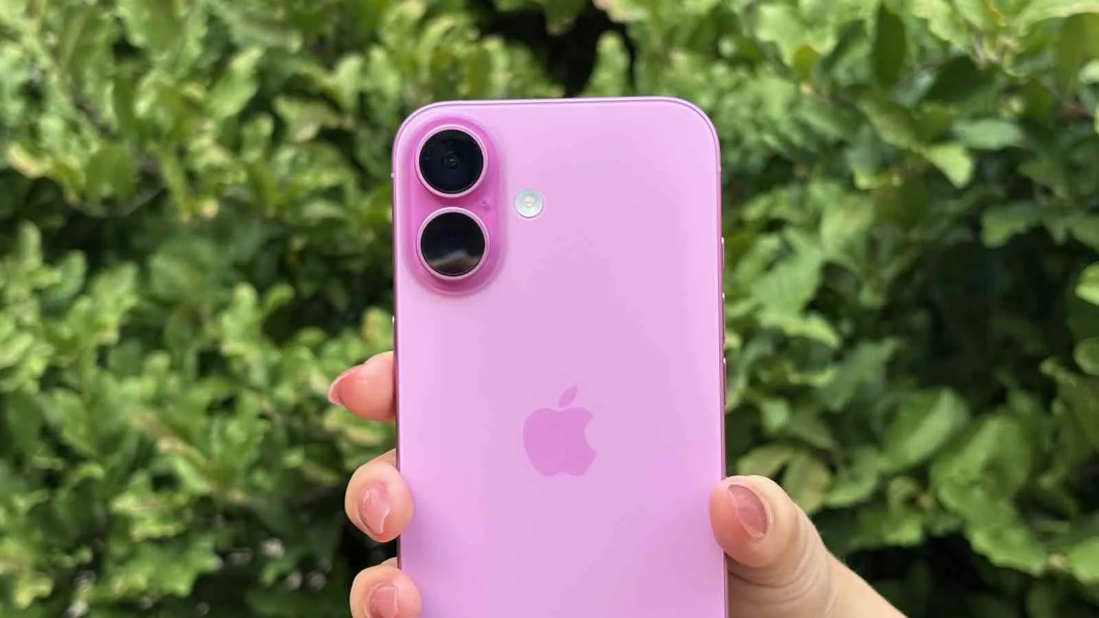 iPhone 17和iPhone 18预期：芯片组、摄像头和显示洞察