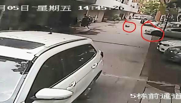 M5车祸：悲剧，17岁的女孩在繁忙的高速公路上被汽车撞倒后死亡