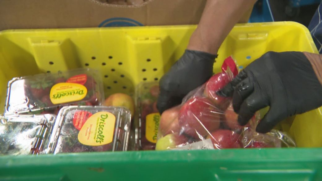 这家加拿大食品银行每天都因为需求而拒绝人们